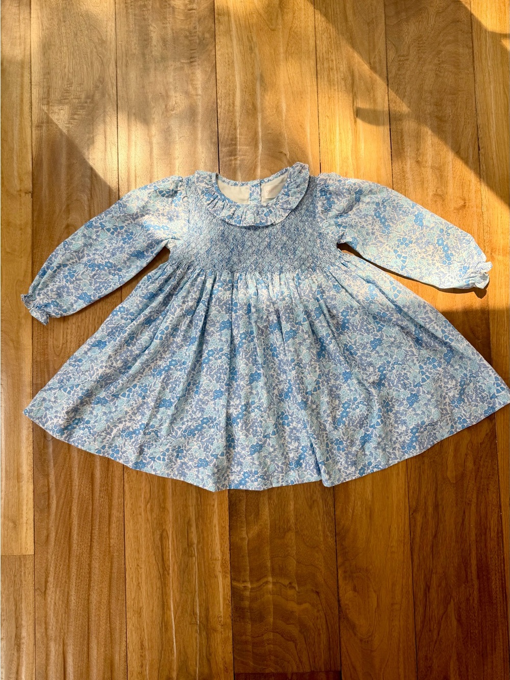 Cecil & Lou Blue Floral Smocked Long Sleeve Dress Girls 4T Lined EUC - Picture 2 of 7